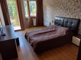 Стаи и апартаменти под наем, ξενοδοχείο στο Μπόροβετς