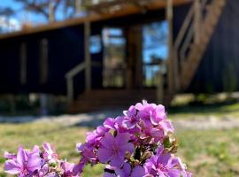 A picture of the hotel: Hospedaria BOCA DO MATO - CONTAINER