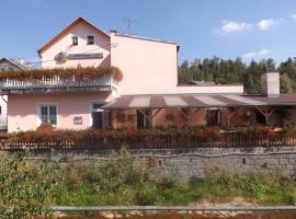 Hotel Photo: Pension U Vlášků