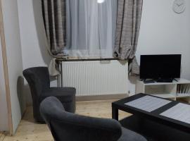 A picture of the hotel: Apartman Centar