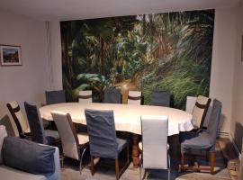 Vila TANIA, hotel v destinaci Predeal