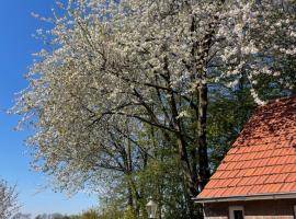 Hotel Photo: B&B Driel