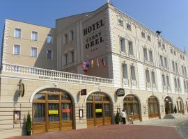 صور الفندق: Hotel Černý Orel Žatec