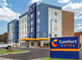 Hotel foto: Comfort Suites Cottage Grove-Madison