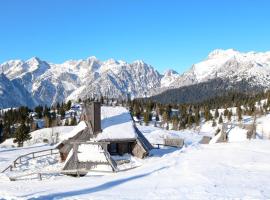 Hotel Photo: CHALET Kocna - I FEEL ALPS