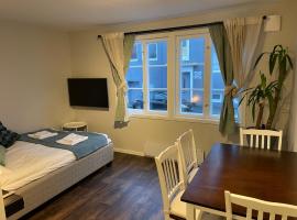 Hotel Photo: Central Studio Apartment