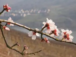 Gastehaus Weingut Rossler