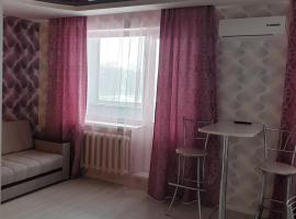 Hotel Photo: Симбирские апартаменты на Варейкиса 42