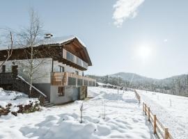 Zdjęcie hotelu: mirnockAHOI - Ferienhaus für bis zu 6 Personen, maritimes Bergerlebnis, Panoramablick von Terasse und Balkon, Carinthia, Millstättersee