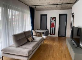 Hotel Photo: Studio Cuzino 106 Pipera