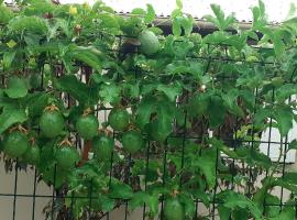 FRUITS DE LA PASSION, hotel in Saint-Philippe