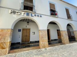 Hotel Photo: Hotel Don Miguel Plaza