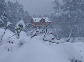 酒店照片: Chalet bois au milieu des Pyrénées