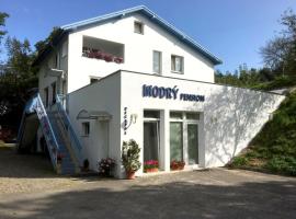 A picture of the hotel: Modrý Pension