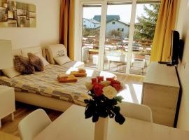 Apartma MAX, hotel in Moravske Toplice