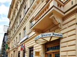 Brezina Pension