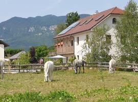 A picture of the hotel: Lipizzaner Lodge Guest House