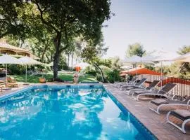 Hotel****Spa & Restaurant Cantemerle, hotel in Vence