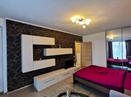 Hotel kuvat: Contemporary central apartment in Cluj Napoca