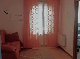 albergo del turista srl
