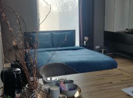 Hotel Foto: Bed & Wellness Boxtel, luxe kamer met airco en eigen badkamer