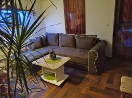 Smiley Apartman, hôtel à Vrnjačka Banja
