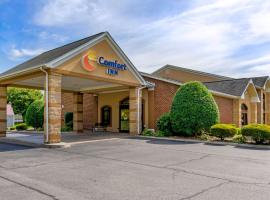 Hình ảnh khách sạn: Comfort Inn Atkins-Marion I-81