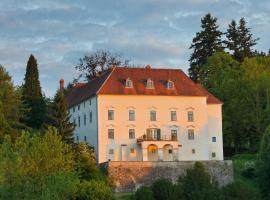 Hotel foto: Schloss Ernegg
