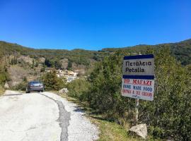 Hotel Photo: Galini Vines - Authentic Corfu village life WiFi AC