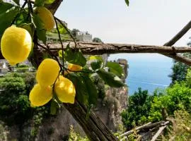 Hotel La Pergola, hotel v Amalfi