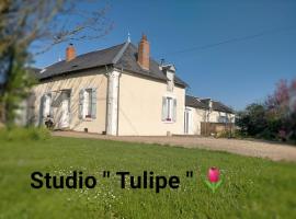 Hotel fotografie: studio ''tulipe'' dans le Berry