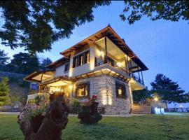 Guesthouse Niaousta, Hotel in Náousa (Imathia)