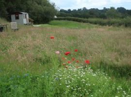 Little Idyll shepherds hut, hotel in Chester