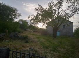 Country stone house Kovacevic, hotel in Danilovgrad
