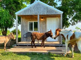 Tiny Cabin at the DonkeyRanch, hotel in Medicine Park