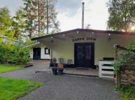 Hotel foto: 5 persoons chalet met gezellige houtkachel nabij Wildlands Emmen