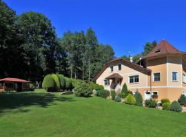 A picture of the hotel: Penzion Pohoda Sokolov