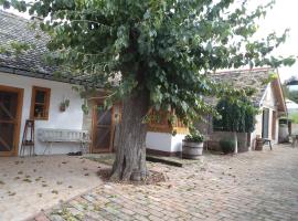 Hotel Photo: Country House Pod dudom Aljmaš