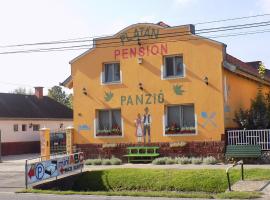 Gambaran Hotel: Platán Panzió