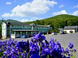 Хотел снимка: Hotel Biele Studničky Dargov