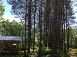 Hotel fotoğraf: Reinholdi puhkemaja