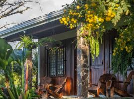 Vista Lago Arenal, hotel in Piedras