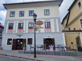 Hotel Salamander - Garni, hotel in Banská Štiavnica