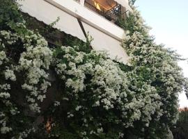 Captain's Rooms, hotell sihtkohas Aígina