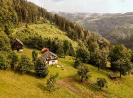 Hotel fotoğraf: Almhaus Kochjosel