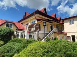 Pensiunea Viena, hotel in Târgu-Mureş
