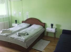 A picture of the hotel: Apartman Radaković