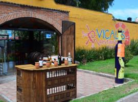 Фотография гостиницы: Vicalis Hotel, Villas y Glamping