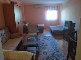 Hotel kuvat: Apartman Djenovici