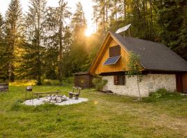 מלון צילום: Marko's eco cabin